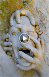 Guarda il video su Facebook